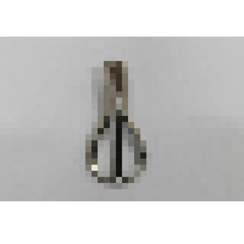 Варган (джюс харп) американский