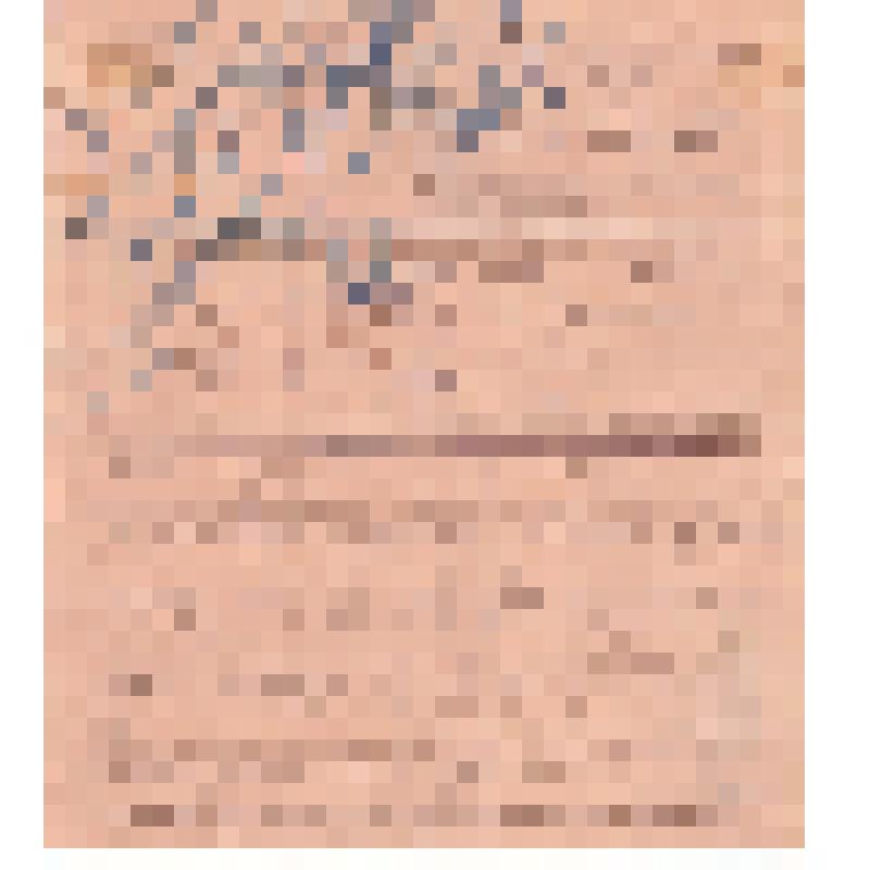 Телеграмма Иргизского губкома РКП(б) в Кирпартбюро и другие организации в связи с голодом, эпидемиями, смертностью населения и падежом скота