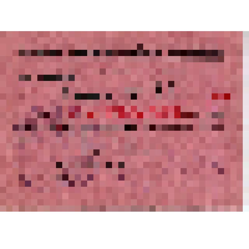 Билет N 311 Романовского на заседания Всесоюзной конференции РКП(б)