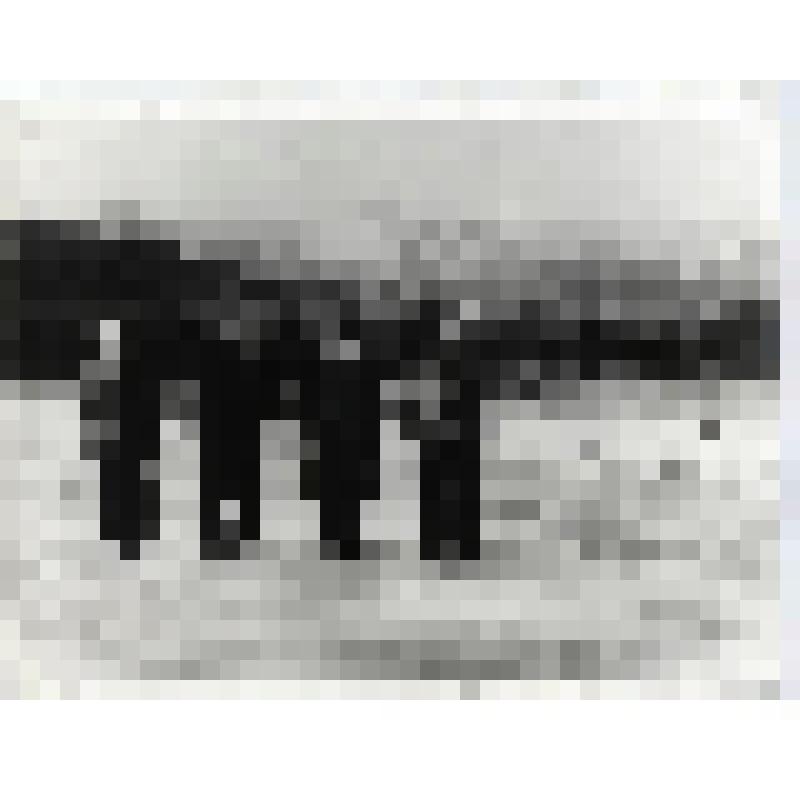 Фотография. П. Я. Афанасьев, П. С. Непорожний и два товарища на выборе площадки под строительство Билибинской атомной электростанции