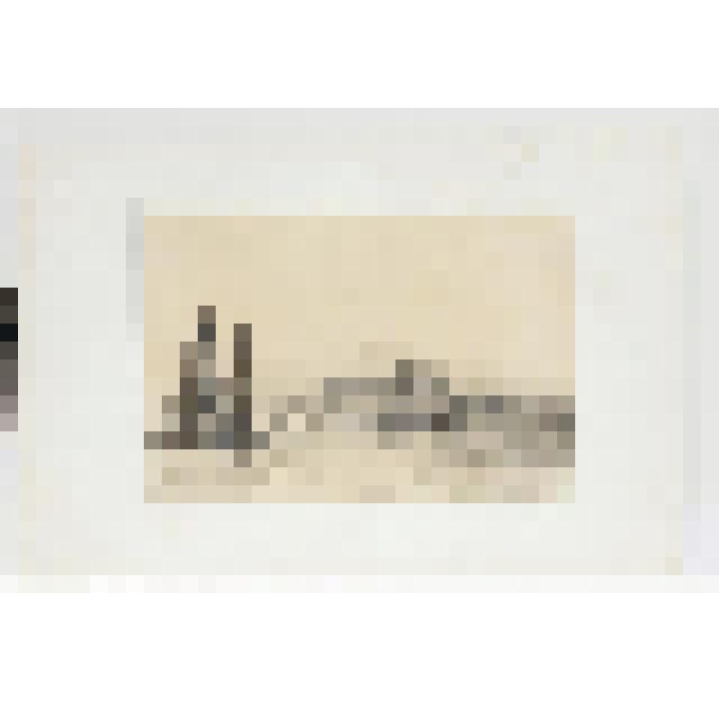 Литография. "Гамбург - берега Эльбы. Бланкенезе, на берегу Дании. На борту парахода Гамбург."