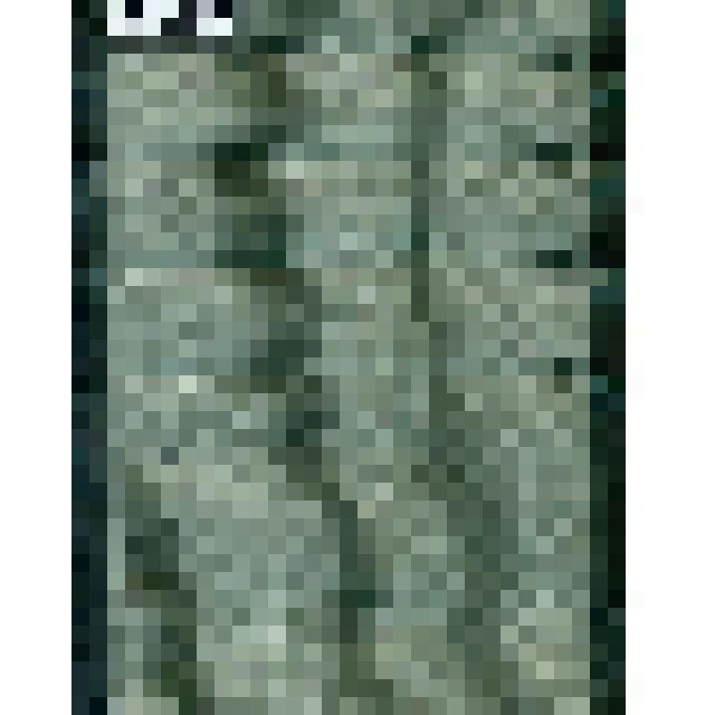 Капроновая лента черного цвета