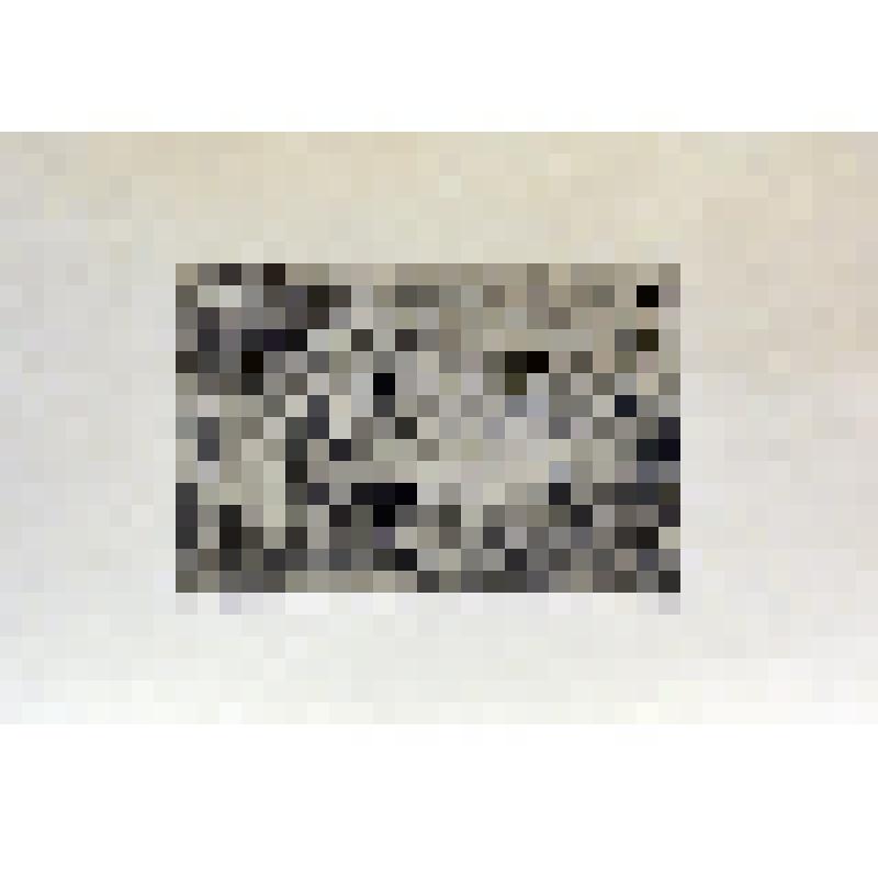 Проспект Фридриха Энгельса