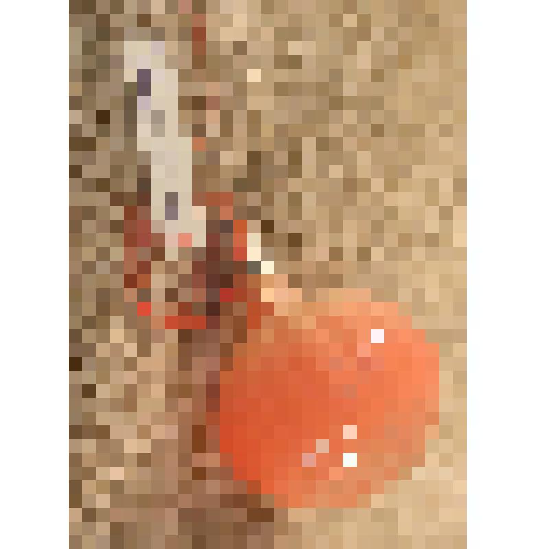 Игрушка елочная «Шар декоративный», из коллекции елочных игрушек и украшений