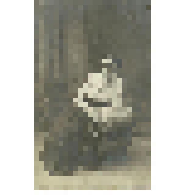 Фотография. Лопухина Фекла Парменовна, портниха, из коллекции материалов о Полущеве Федоре Николаевиче, враче-гинекологе, преподавателе СМИ, организаторе роддомов в Сталинском  (Заводском) и Фрунзенском районах г. Саратова, участнике Великой Отечественной