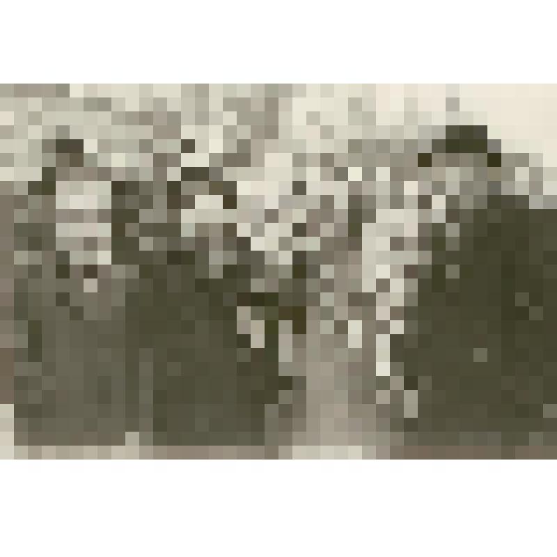 Фотография. Хохлов С.С. с сотрудниками на демонстрации 1 мая, из коллекции материалов Хохлова Сергея Спиридоновича (1910-1974), саратовского ученого-генетика, доктора биологических наук, профессора, зав.кафедрой генетики и дарвинизма СГУ