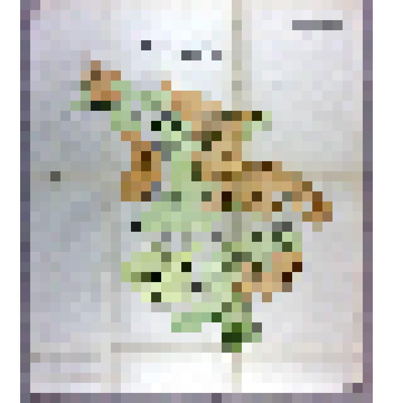 Карта гидрогеологическая. Лысогорский район