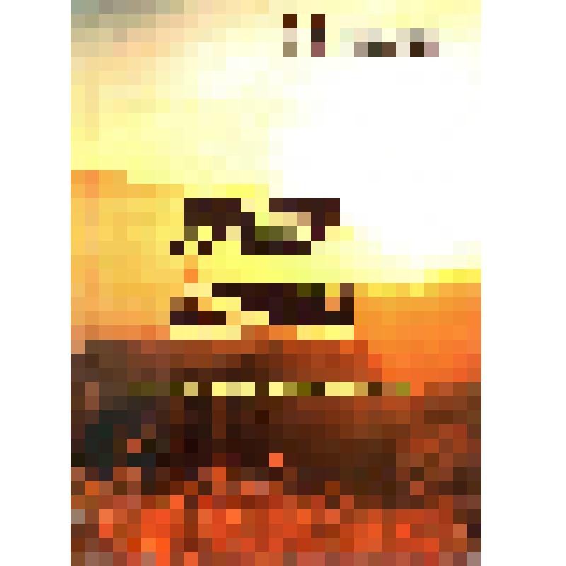 В.Д.Катасонов, М.И.Катасонов "Ратша-поляна". Исторический роман в 2-х частях. Часть2