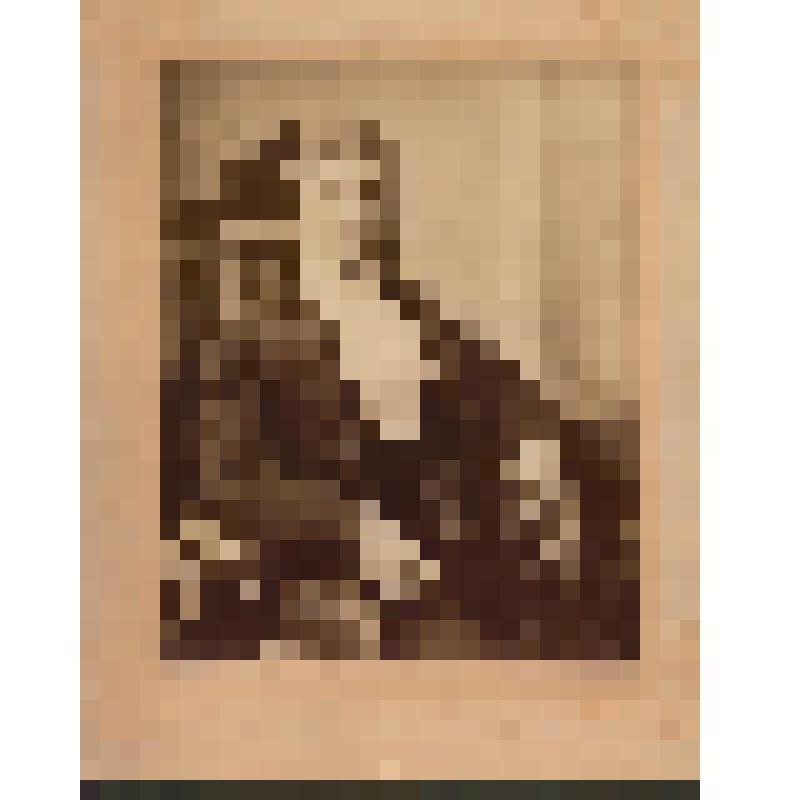 Фотография. Шаляпин Ф.И. в жизни, Нижний Новгород