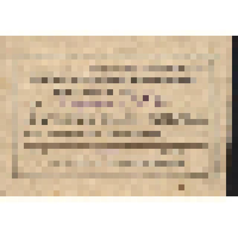 Пропуск Алдохина П.А. на IX  городскую конференцию ВКП (б) 1952 г., февраль