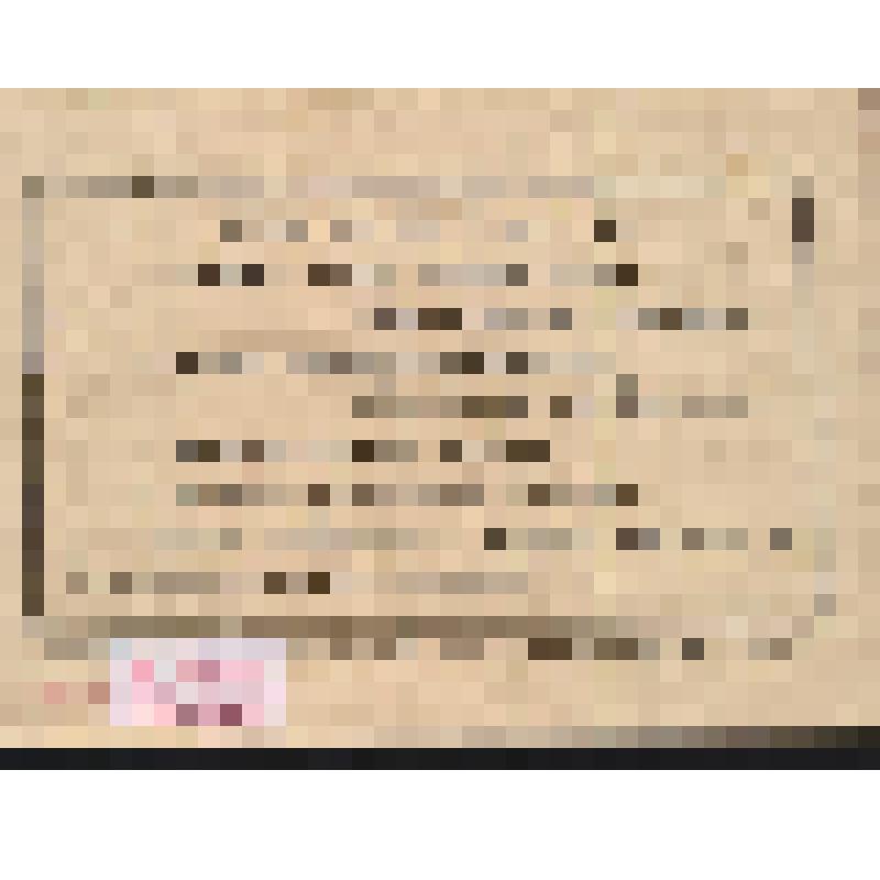 Пропуск Алдохина П.А. на IX  городскую конференцию ВКП (б) 1952 г., февраль