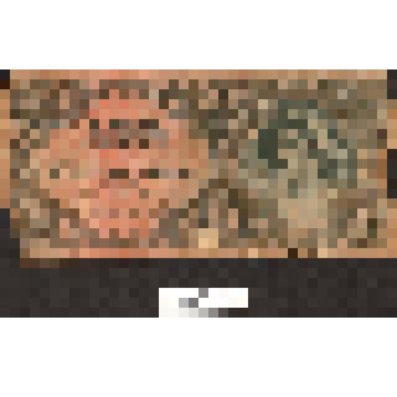 Денежный знак "1000 пенгов".  Венгрия