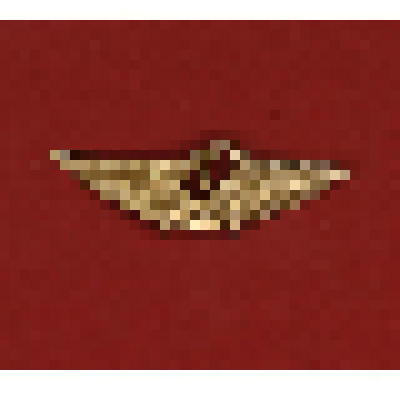 Знак аэрофлота