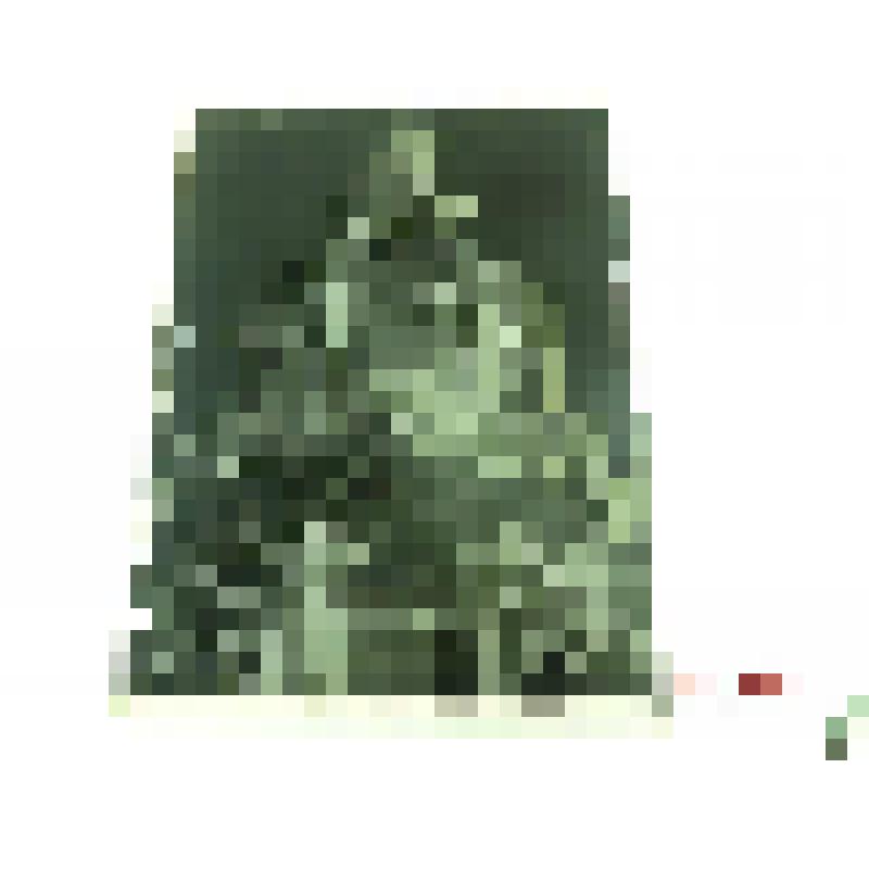 Церковь Покрова в Филях. Новозаводская ул., 6. 1693-1694 гг.; Усадьба Л.К.Нарышкина в Филях, кон. XVII в. г. Москва, с. Фили. Усадьба Л.К.Нарышкина в Филях. Церковь Покрова в Филях