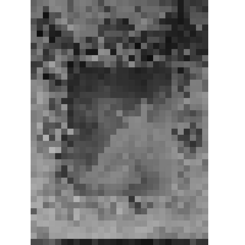 Большой дворец. Диванная. Западная стена. Фрагмент. Портрет Елизаветы Петровны ребенком (копия с Л. Каравака)