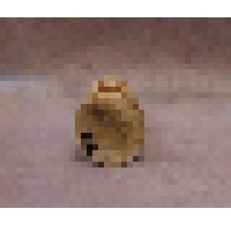 Предмет быта. Шахматы, фигура ладья белого цвета (Голубева Я.Г.). Из комплекта: Шахматы фигуры, изготовленные из рогов лося