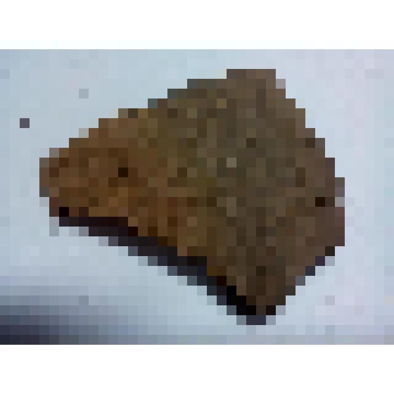 Фрагмент сосуда