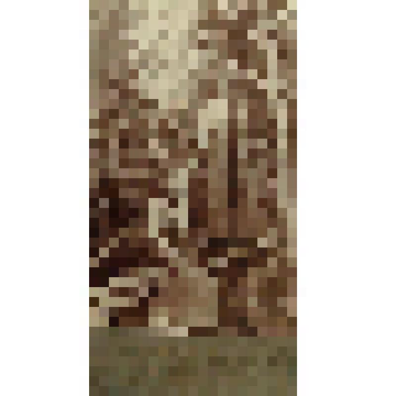 Фотография. Две девушки в лесу