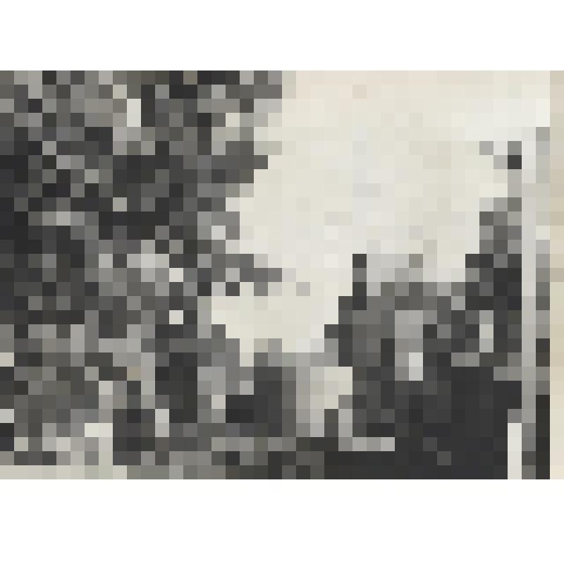 Фотография черно-белая. Вид на территорию Иткульского спиртзавода