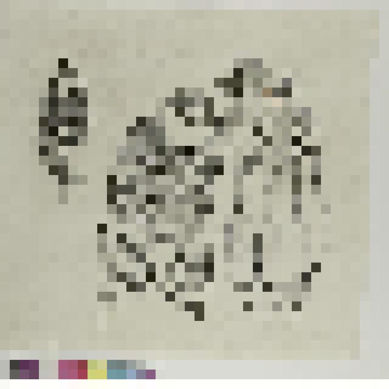 Справка, рисунок