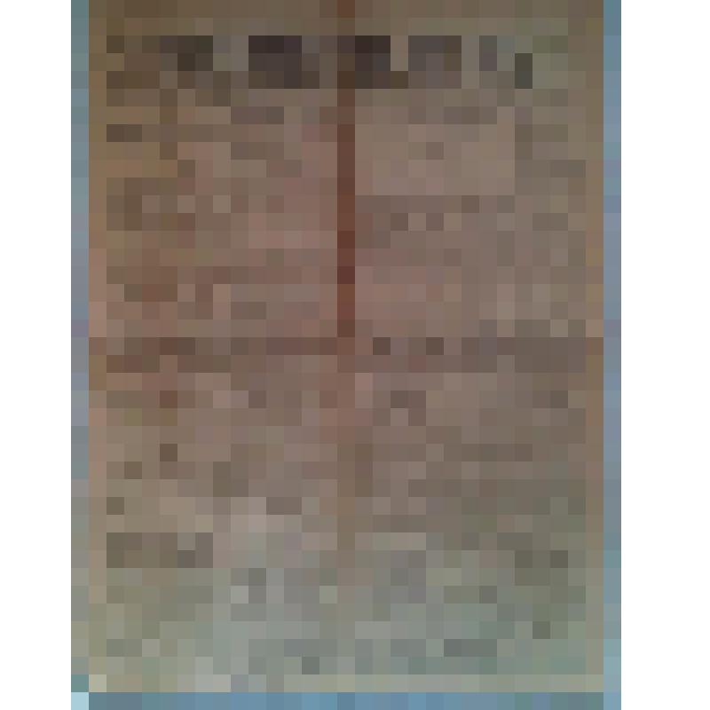 Газета. Нижегородский листок