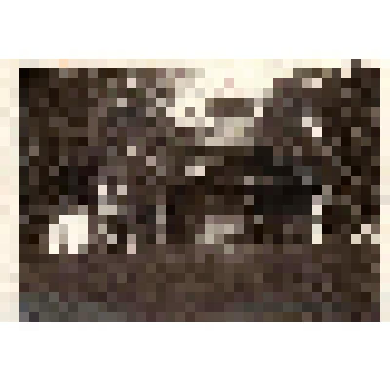 Фотографии. Окрестности озера Светлояр