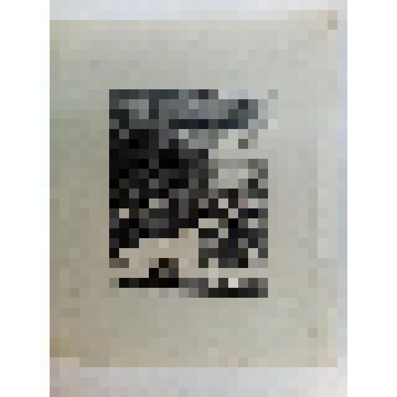 ксилография. Мойка,12. "29 января 1837 года"