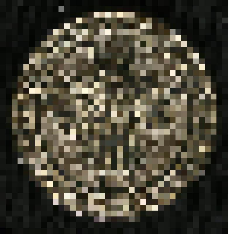 Значок "Музей археологии и этнографии Сибири ТГУ. 125 лет."