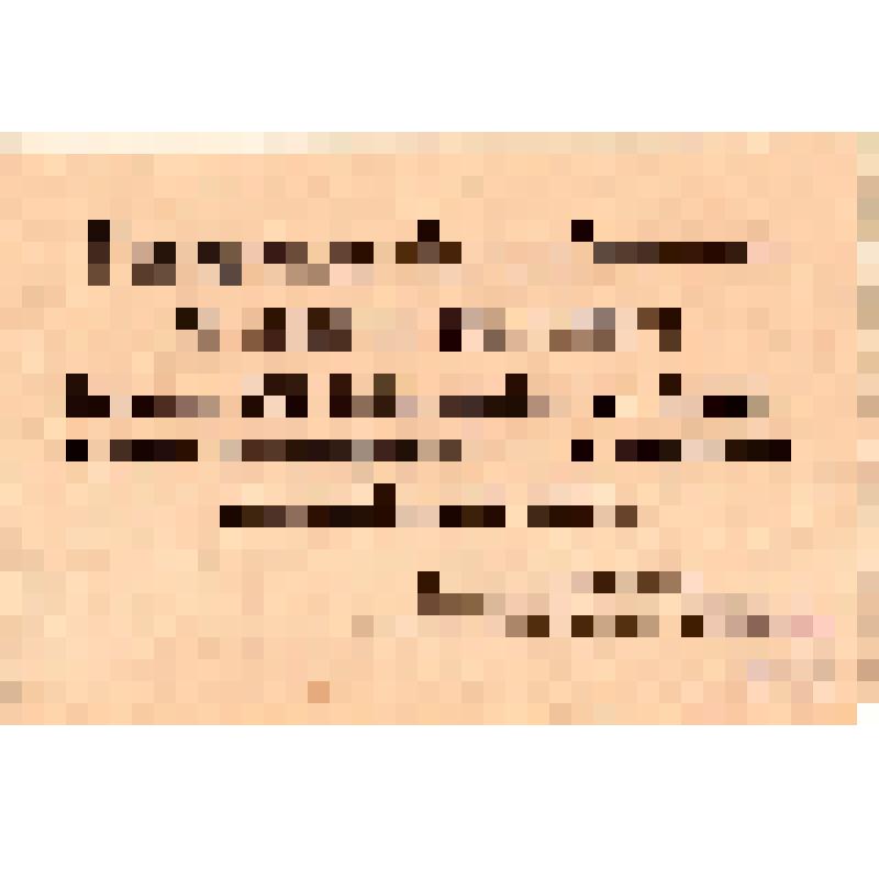 Исполнительный Комитет Саратовского Совета солдатских и рабочих депутатов. Товарищи безработные телефонисты и телеграфисты