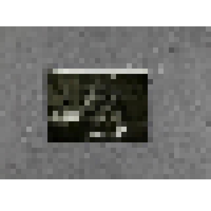 Фотография. Лесков Андрей Николаевич - сын писателя в домашней обстановке