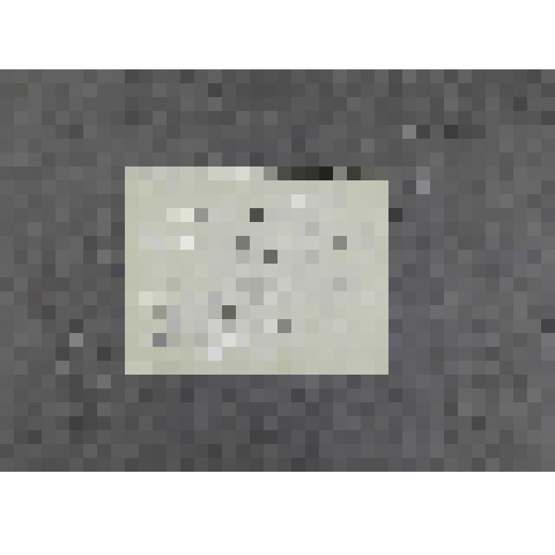 Фотография. Лесков Андрей Николаевич - сын писателя в домашней обстановке