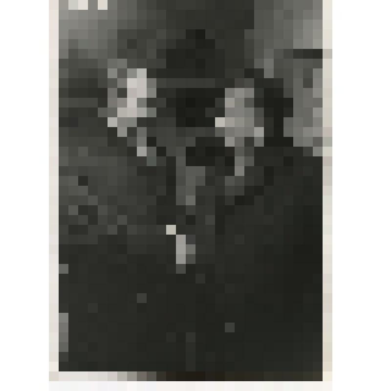 Фотография. В.А. Темин. Рукопожатие