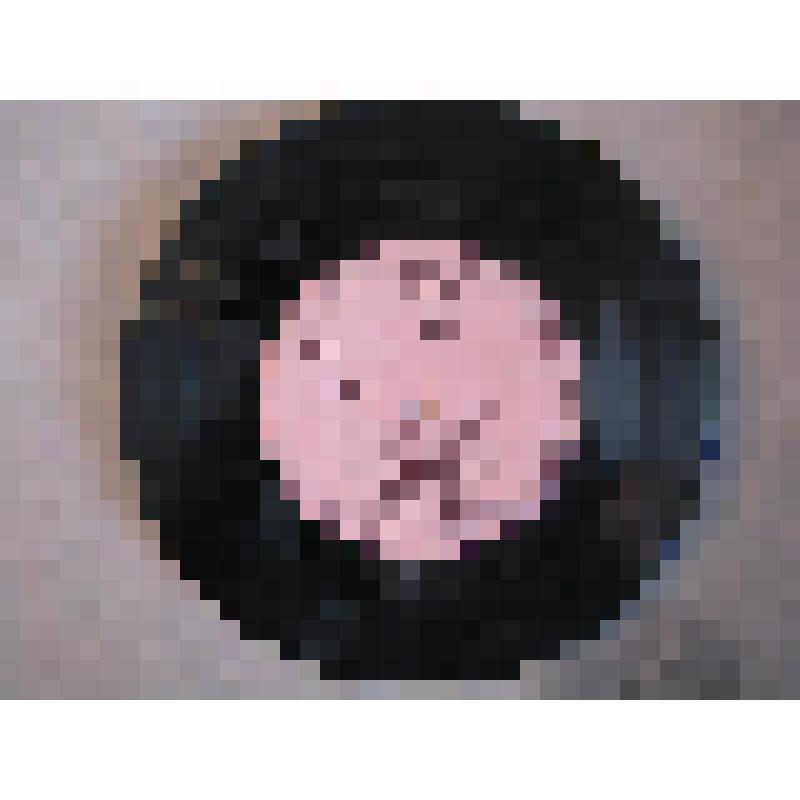 Грампластинка. Михаил Шишков. Цыганские народные песни. Романсы