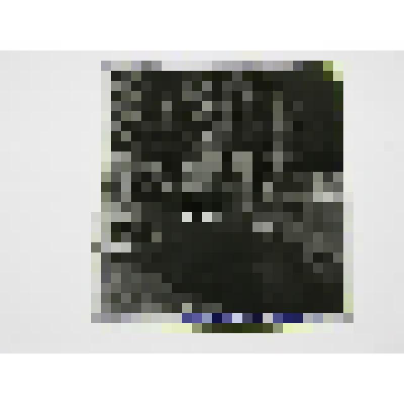 Жилой район "Лаздинай". 1963-1973. Литва, г. Вильнюс, жилой район "Ладзинай" Жилой дом. Чеканаускас В. Я.; Бредикис В; Бальчунас В; Валюшкис Г; Клейнотас А; Шилейка В. Фрагмент фасада