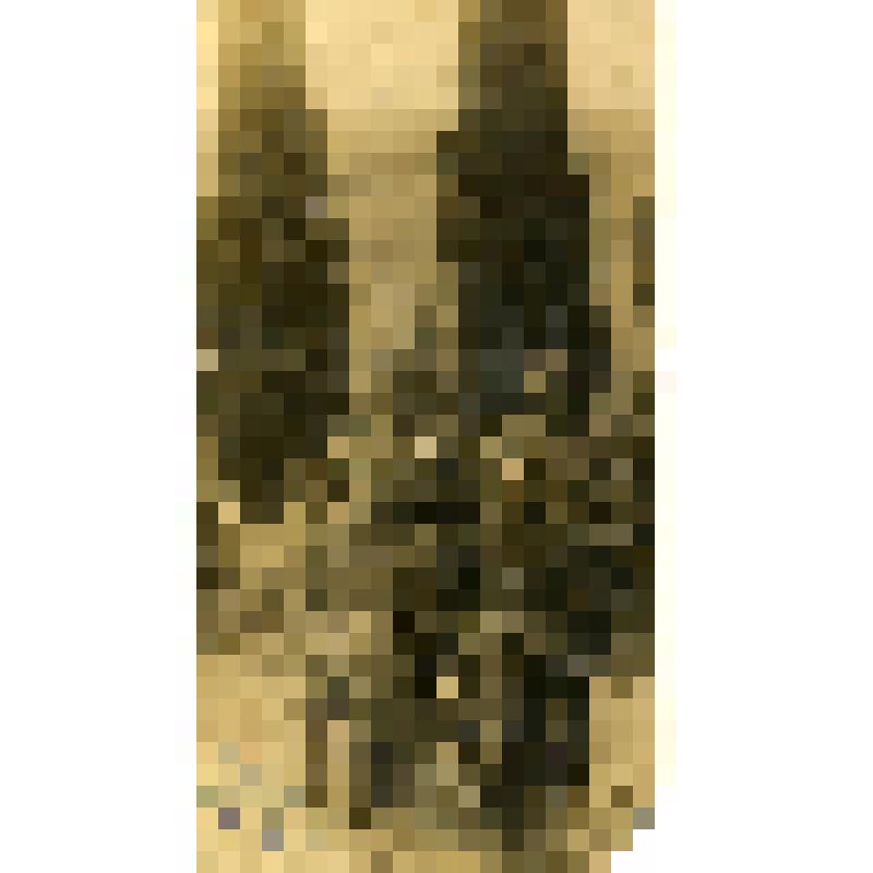 Фотография. Фомичев Григорий Федорович с боевыми товарищами