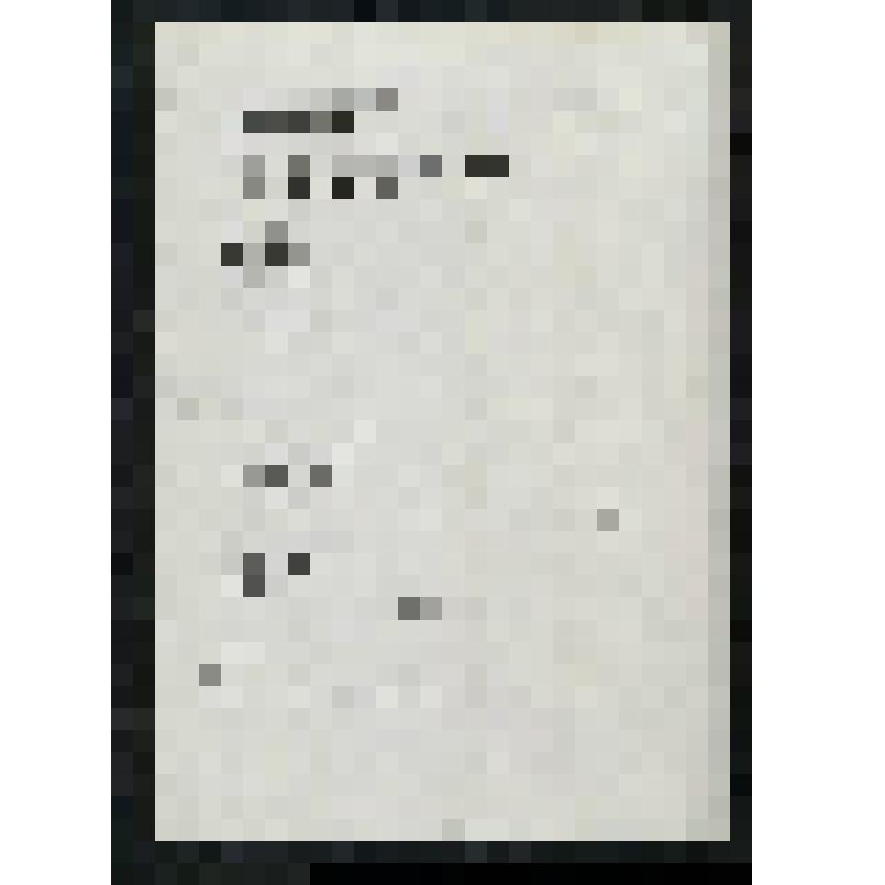 Проект "Актов состояния", характеристики представленных фотографий и фотохудожников (авторы: Ульрих Домрезе, Янос Фрекот, Вульф Херцогенрат)
