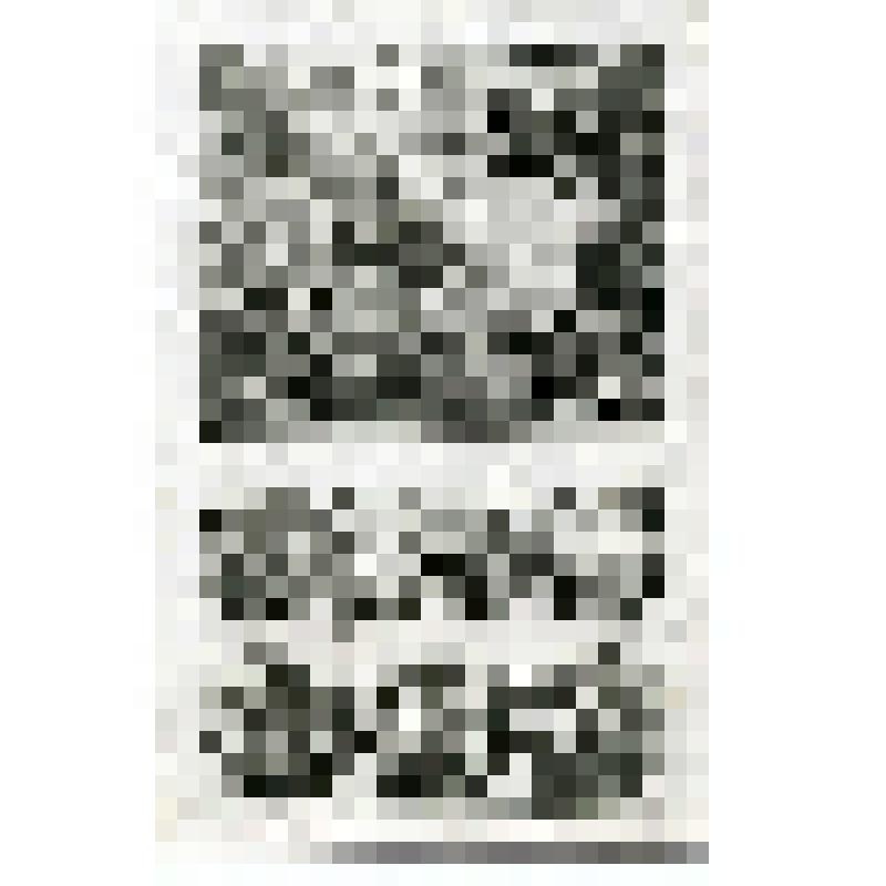 Офорт. Лист 165. Душа Лазаря возносится Ангелами на небо. Притча о милосердном самарянине. Преображение. Притча о потерянной овце. Изгнание беса. Притчи о блудном сыне, о богаче и нищем Лазаре и о неверном домоуправителе (Лк. 9, 10, 11, 15, 16)