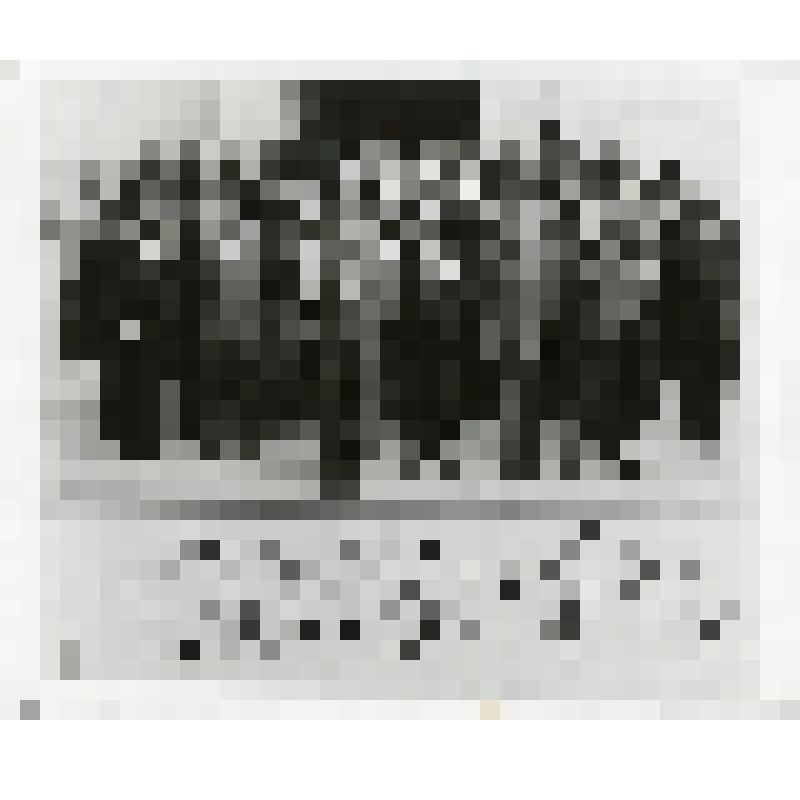 А.Г. Масевич среди делегатов совещания Международного комитета по исследованию космического пространства