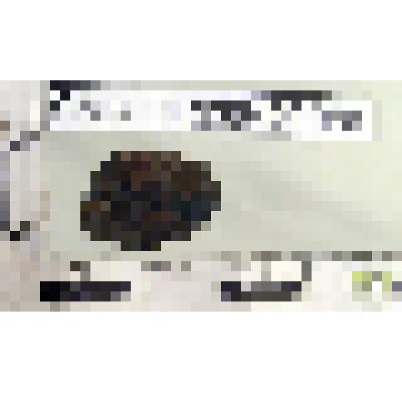 Пуло Москва, 60-80 гг. 15 в