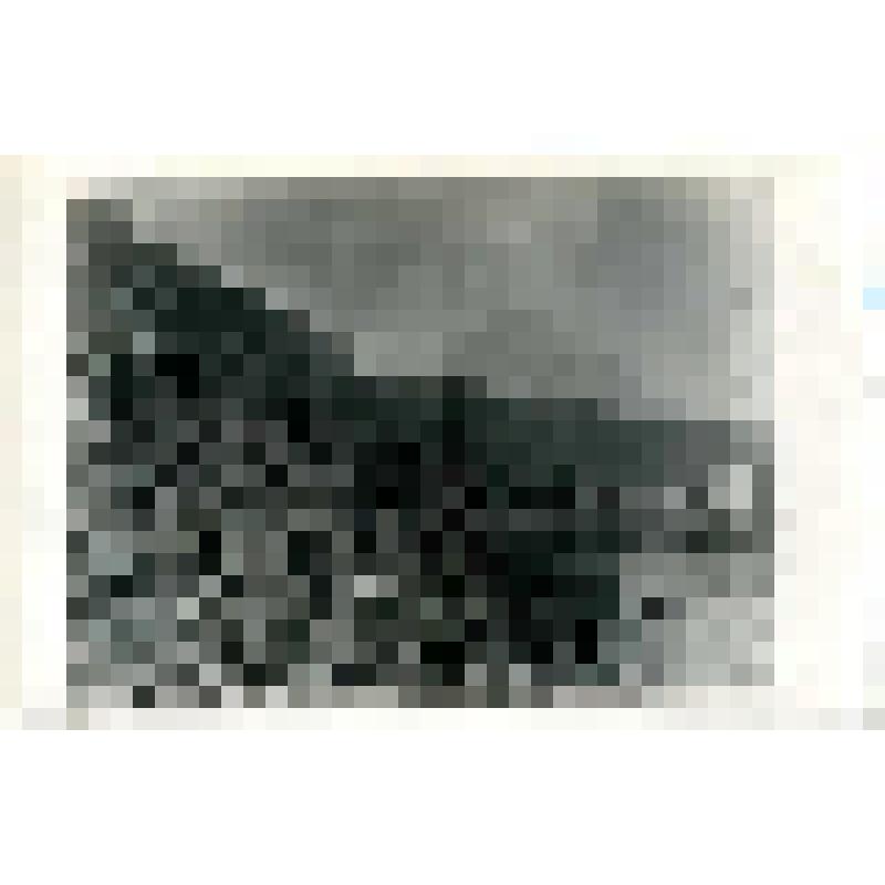 Фотокопия. Погрузка угля