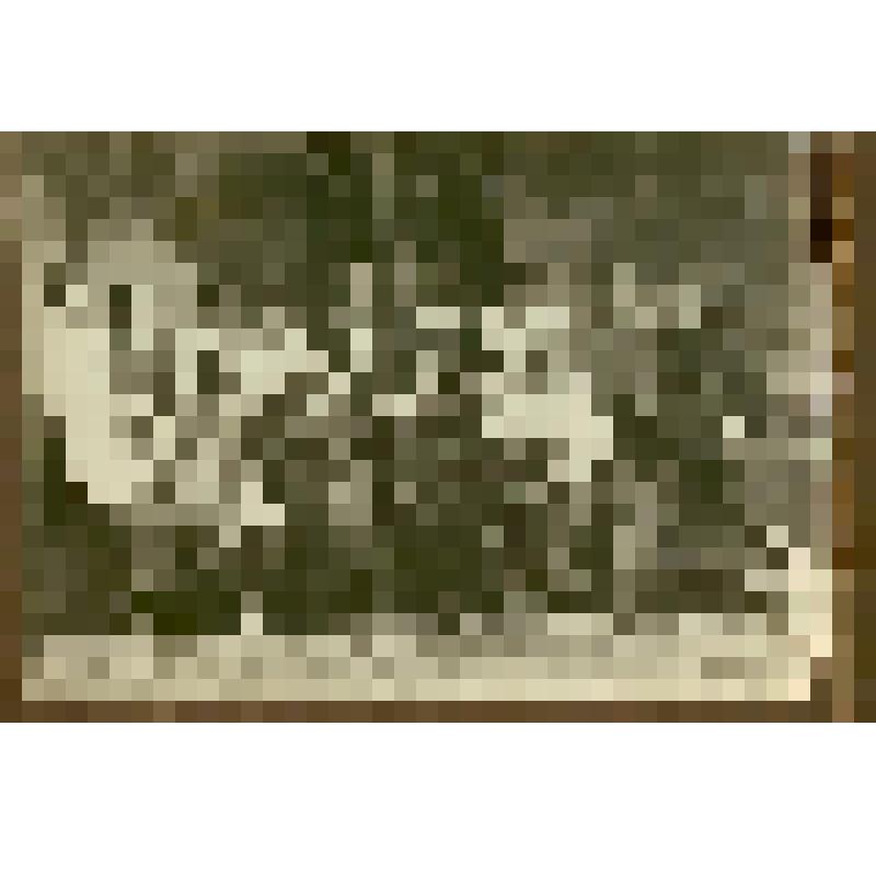 Фотография. Левина (Носова) М.В. среди сотрудниц Горкомхоза