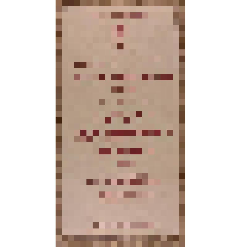 Лист рекламный с репертуаром театра драмы им. И.А. Слонова на декабрь 2008 года