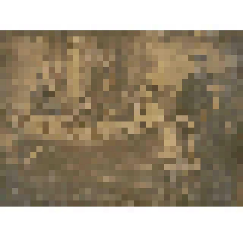 Фотография. Кузнецовы Р.Д. и М.А. с близкими, из коллекции фотографий семьи Кузнецовой О.Р. Нач.20 в. - 1930-е гг