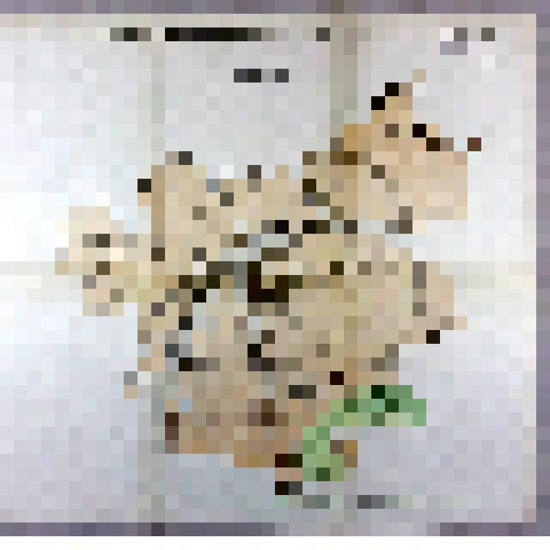 Карта гидрогеологическая. Петровский район