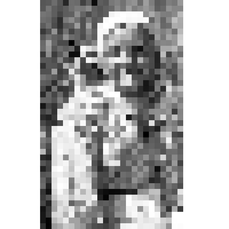 Негатив черно-белый. Чувашка