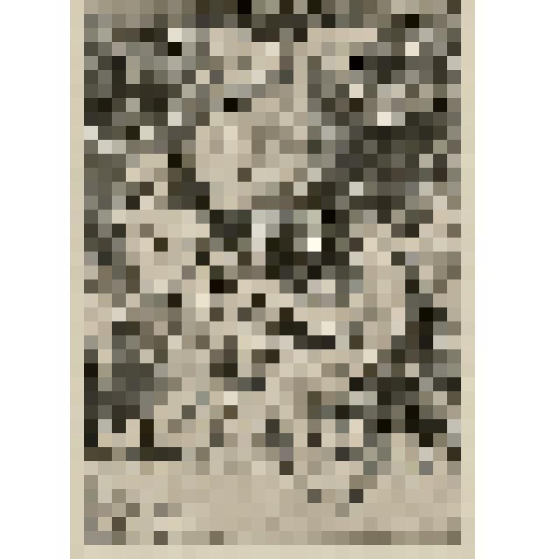 Благовещение, гравюра