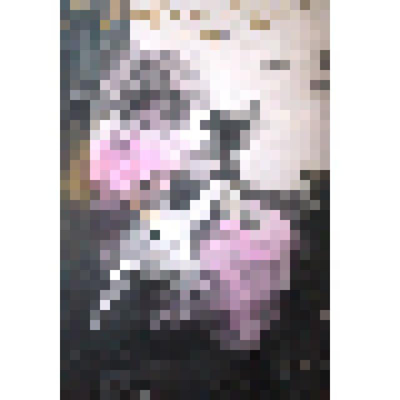 Фотооткрытка "С Новым годом!" семьи Отрешко