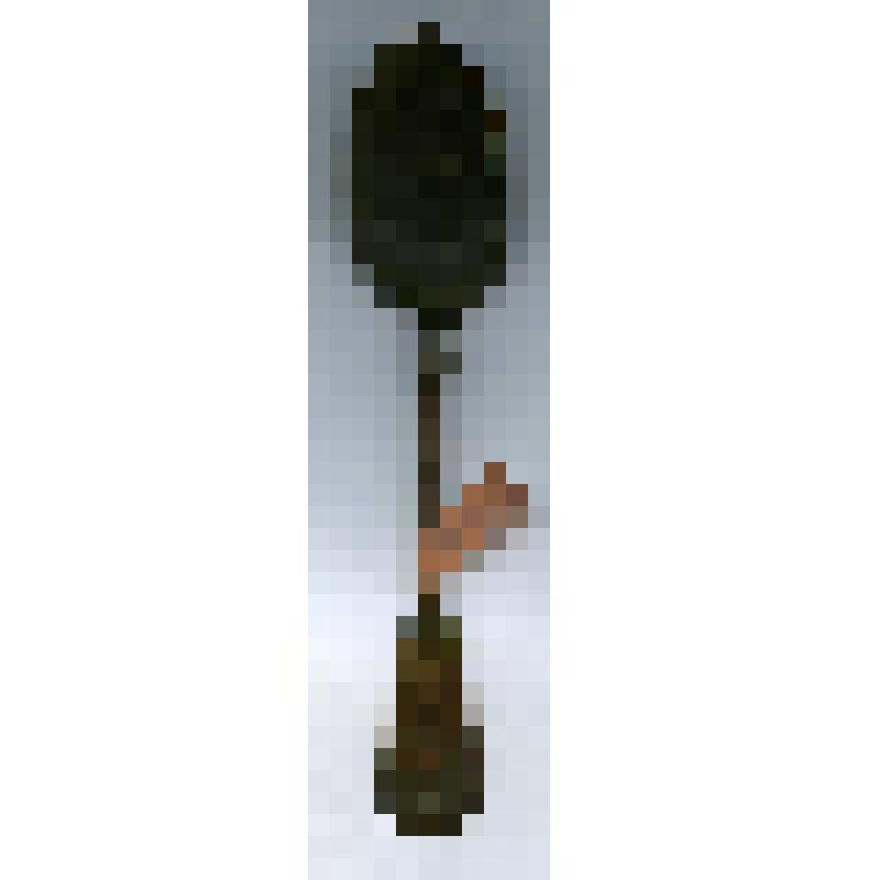 Ложка столовая