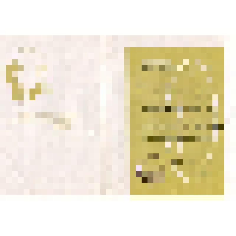 Диплом I степени Рощупкина Виталия - юного техника Вейделевской средней школы Вейделевского района