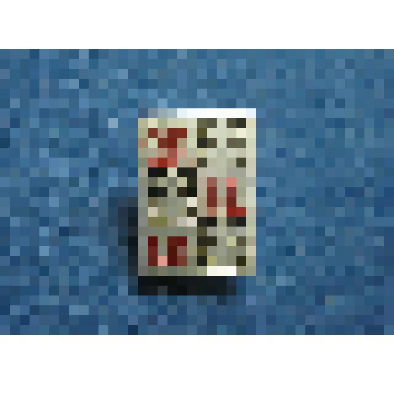 Значок. Сыктывкар